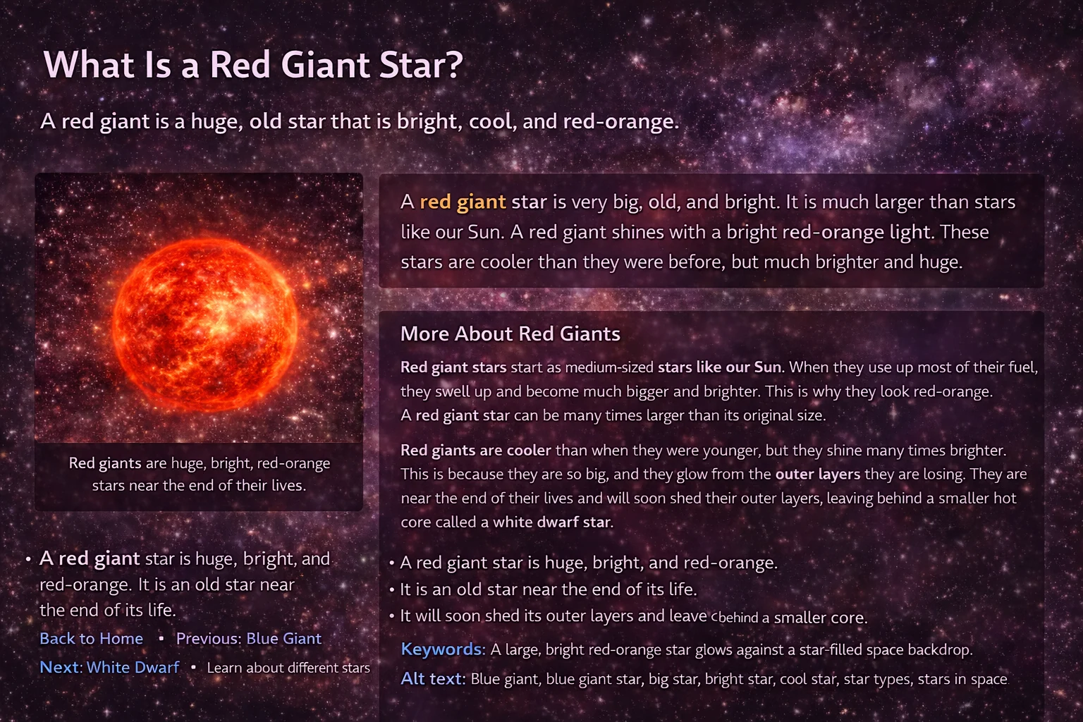 An information poster about a swollen red giant star.